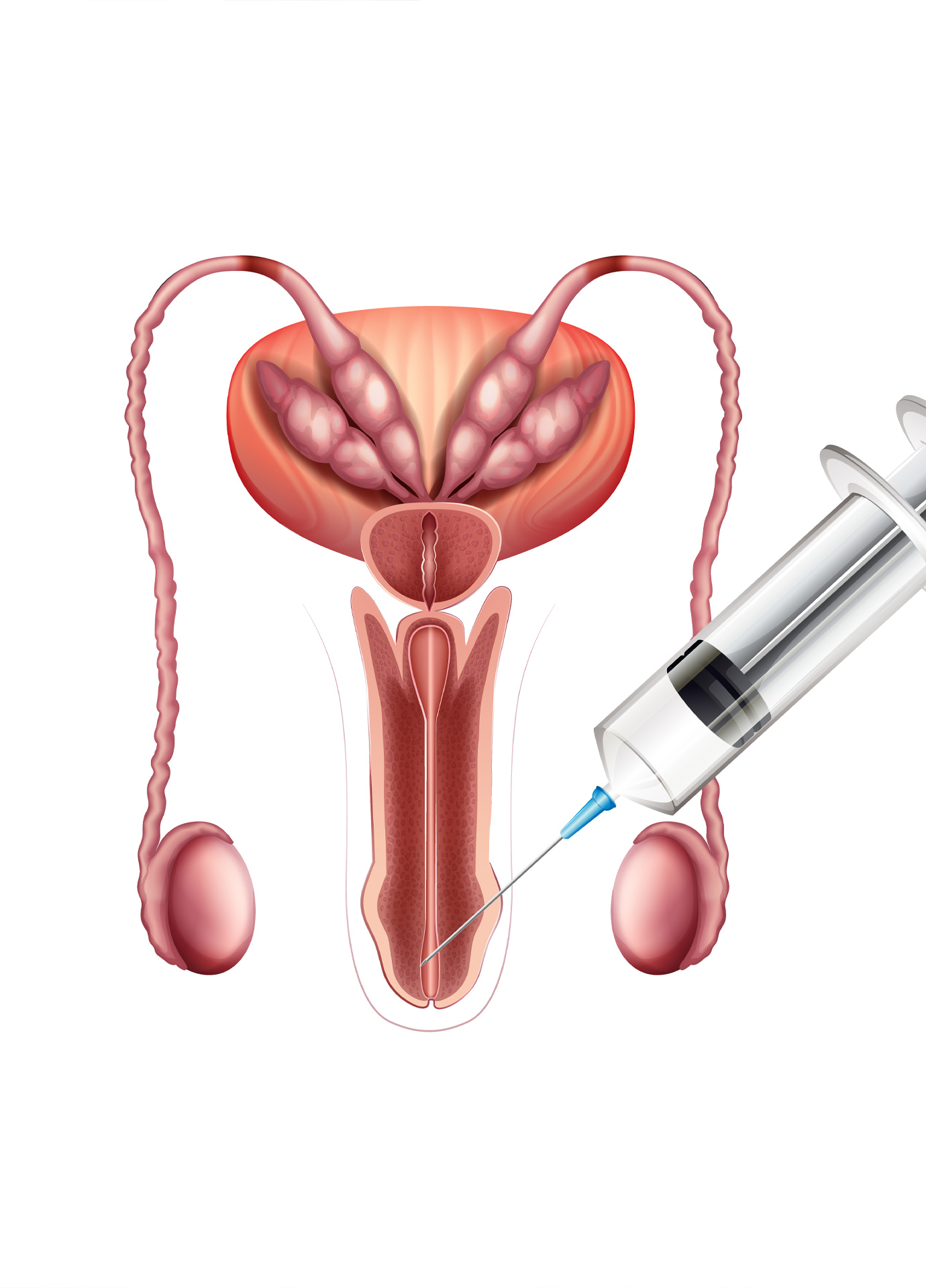 https://nooralmamzar.com/wp-content/uploads/2025/09/g-filler.jpg